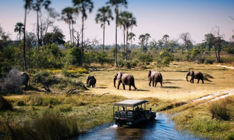 Game-Drives-in-Tarangire-National-Parkss-750x450