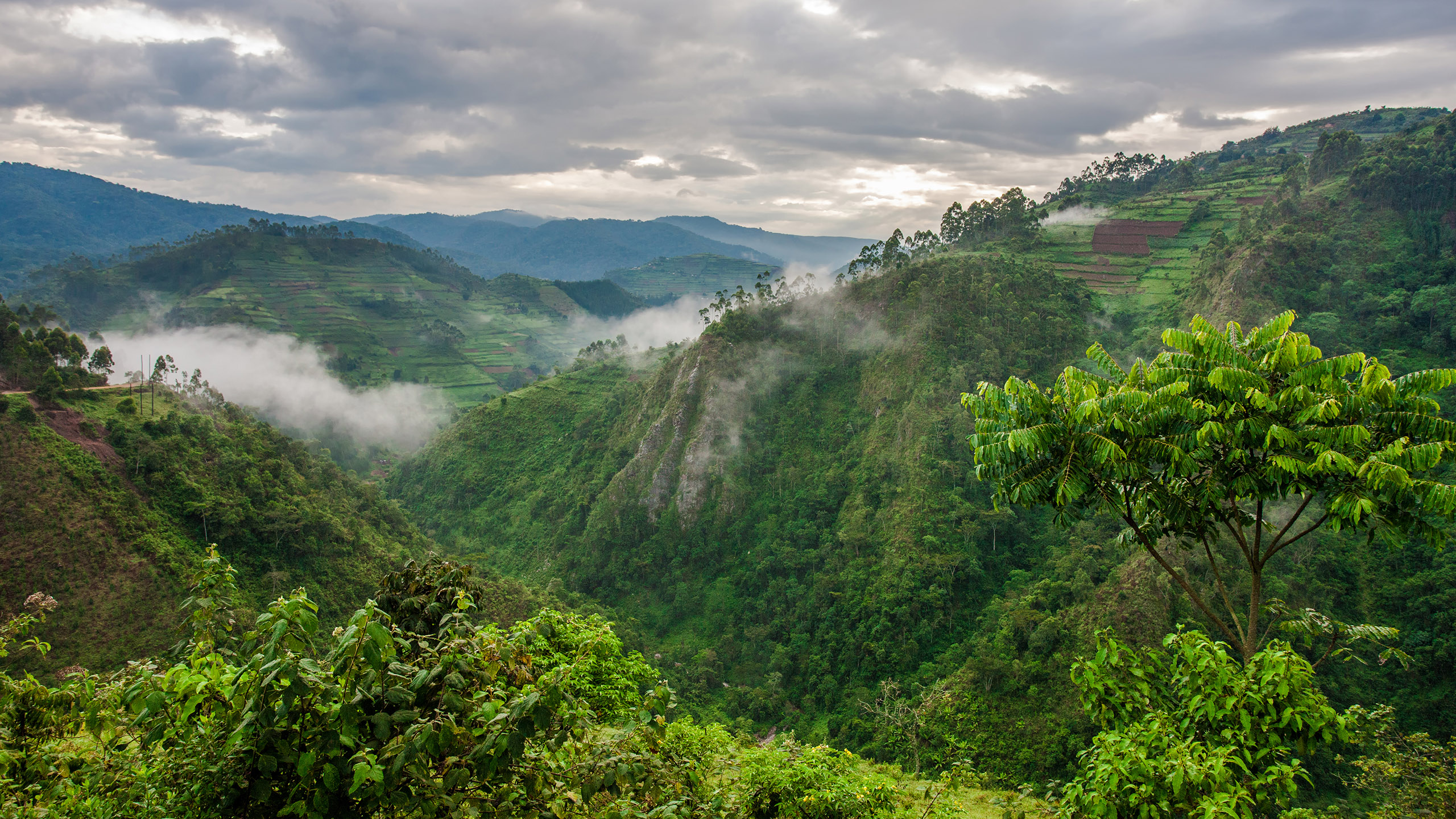 Rwanda__0000_Rwanda